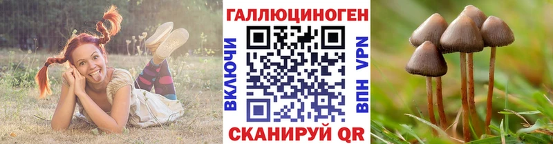 Галлюциногенные грибы Psilocybe  Гороховец 